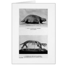 Pareiasaurus karpinskii art card