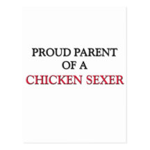 Parent fier d'un POULET SEXER Cartes Postales