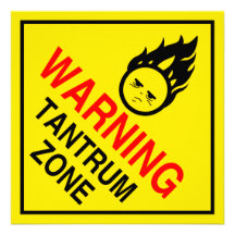 Parental Warning  Signs Mini Posters Personalized Invites