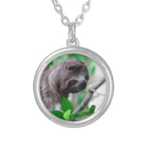 Paresse dans l'arbre Nicaragua Collier