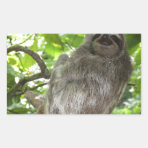 Paresse dans l'arbre sticker en rectangle