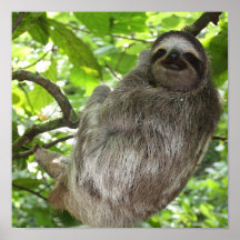 Paresse en affiche d'arbre