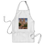 Paris - Bibliotheque Mazarine Aprons