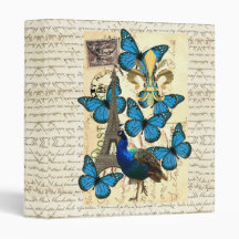 Paris, peacock and butterflies vinyl binders
