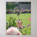 Parisian Garden Birds and Bees posters