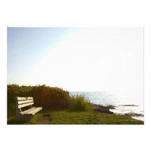 Park Bench Custom Invite