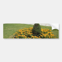 Park In Corfu Town In Greece Bumper Sticker
