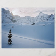 Parker Ridge Banff Park Icefields Alberta Canada Flyers