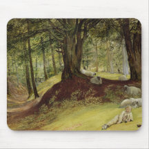 Parkhurst Woods, Abinger, Surrey Mouse Pads