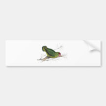 Parrakeet abyssinien par Edward Lear Autocollants Pour Voiture