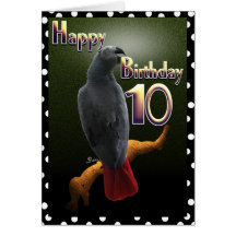 Parrot African Grey Happy 10 Birthday bird card