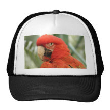 Parrot Animal Mesh Hats