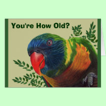 Parrot Birthday Card cards