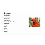 PARROT BUSINESS CARD TEMPLATES