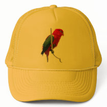Parrot cap 트러커캡