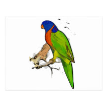 PARROT CARTAO POSTAL