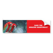 Parrot Couple
