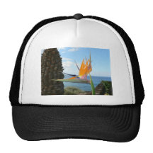 parrot-flower trucker hats