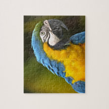 Parrot Jigsaw Puzzles