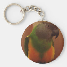 Parrot Key Chain
