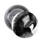 Parrot Pinback Button