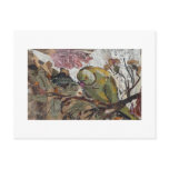 parrot postcards
