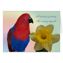 Parrot Sympathy Greeting Card