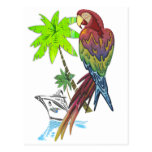 Parrot Tropical Cruise Post Cards