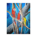 parrot tropical oil painting art print postcards