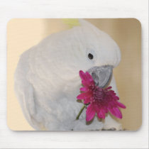 Parrot with he loves me he loves me not mouse pads