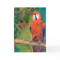 Parrot with Seagrapes Card