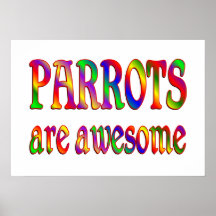 Parrots are Awesome Poster