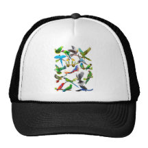 Parrots Galore Hat