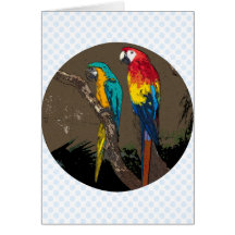 Parrots Greeting Card