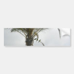 Parrots In Palm Tree Bumper Stickers