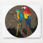 Parrots Mouse Pad