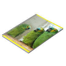 PARROTS NOTE BOOK