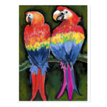 Parrots Postcard