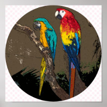 Parrots Print
