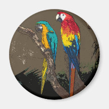 Parrots Refrigerator Magnet