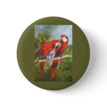 Parrots Sharing Secrets Pins