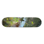 Parrots Skateboard Deck