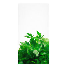 Parsley Picture Card