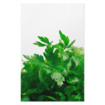 Parsley