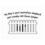 Part Australian Shepherd Part Fence-Jumper Postcards