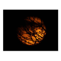 Partial Lunar Eclipse Silhouette Postcards