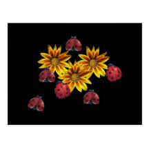 Partie de coccinelle cartes postales