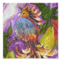 Partridge in a Pear Tree Fine Art Poster Photograph