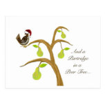 Partridge in a Pear Tree Post Cards