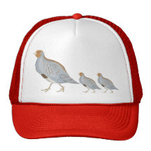 Partridge ... trucker hats